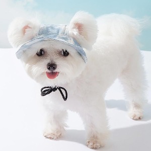 강아지 블루구름 벙거지 버킷 캡 모자